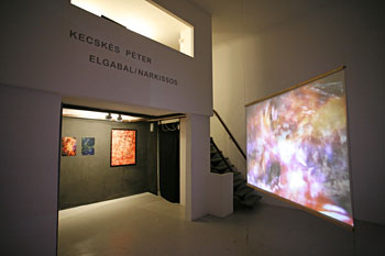 Kecsks Pter, Videospace Budapest