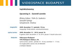 Videospace sajtkzlemny