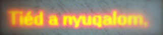 Szigeti G. Csongor: Srfeliratok, 2010, LED-display mrvnyflia alatt